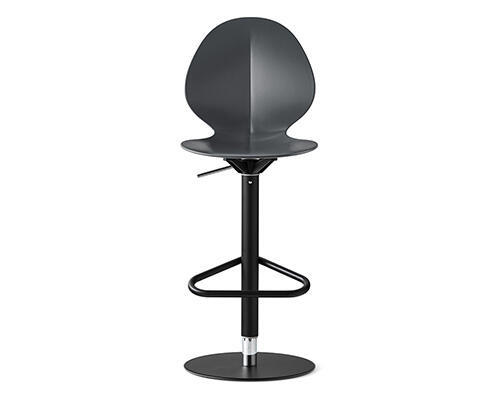25_Basil_cs2233_P15_P16_front-