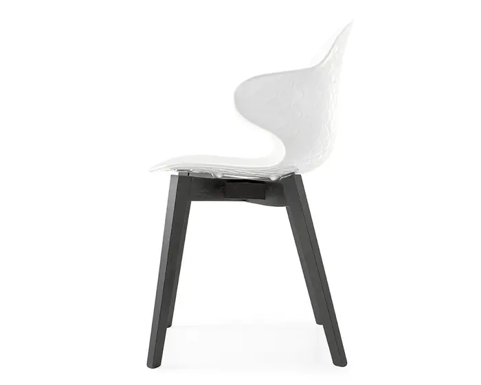 Saint Tropez: Chair with plastic shell and wooden base